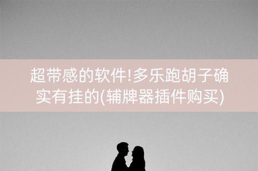 超带感的软件!多乐跑胡子确实有挂的(辅牌器插件购买)