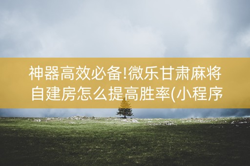 神器高效必备!微乐甘肃麻将自建房怎么提高胜率(小程序辅助软件)