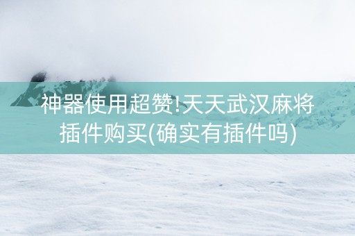 神器使用超赞!天天武汉麻将插件购买(确实有插件吗)