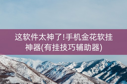 这软件太神了!手机金花软挂神器(有挂技巧辅助器)