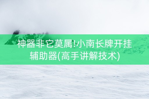 神器非它莫属!小南长牌开挂辅助器(高手讲解技术)