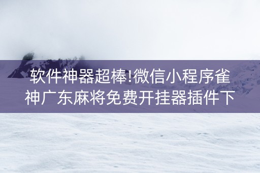 软件神器超棒!微信小程序雀神广东麻将免费开挂器插件下载(会员会提高胜率吗)