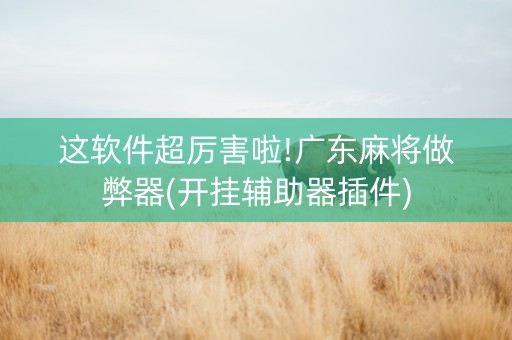 这软件超厉害啦!广东麻将做弊器(开挂辅助器插件)