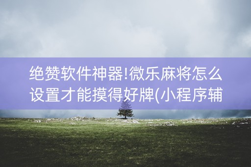 绝赞软件神器!微乐麻将怎么设置才能摸得好牌(小程序辅助软件)
