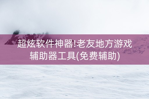 超炫软件神器!老友地方游戏辅助器工具(免费辅助)