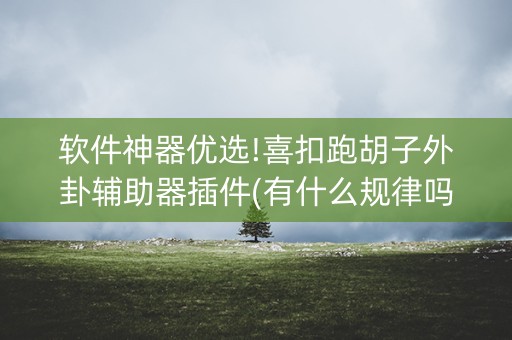 软件神器优选!喜扣跑胡子外卦辅助器插件(有什么规律吗)