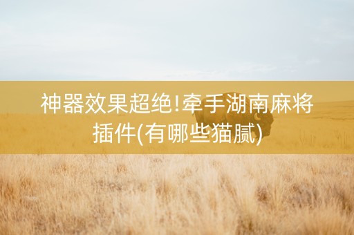 神器效果超绝!牵手湖南麻将插件(有哪些猫腻)