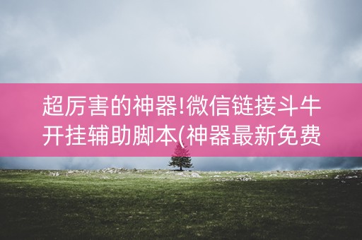超厉害的神器!微信链接斗牛开挂辅助脚本(神器最新免费)