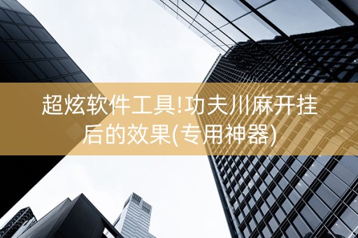 超炫软件工具!功夫川麻开挂后的效果(专用神器)