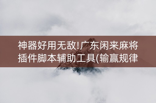 神器好用无敌!广东闲来麻将插件脚本辅助工具(输赢规律)