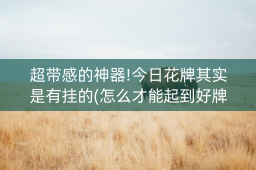 超带感的神器!今日花牌其实是有挂的(怎么才能起到好牌)