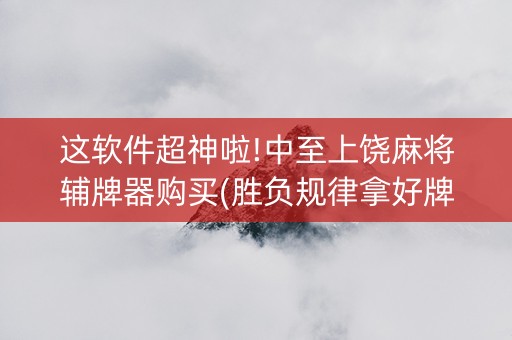 这软件超神啦!中至上饶麻将辅牌器购买(胜负规律拿好牌)