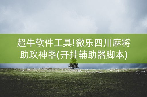 超牛软件工具!微乐四川麻将助攻神器(开挂辅助器脚本)