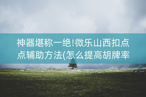 神器堪称一绝!微乐山西扣点点辅助方法(怎么提高胡牌率)