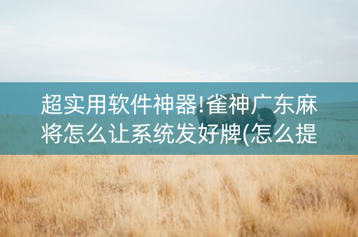 超实用软件神器!雀神广东麻将怎么让系统发好牌(怎么提高胜率)