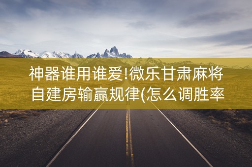 神器谁用谁爱!微乐甘肃麻将自建房输赢规律(怎么调胜率)