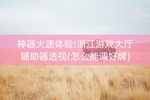 神器火速体验!浙江游戏大厅辅助器透视(怎么能调好牌)