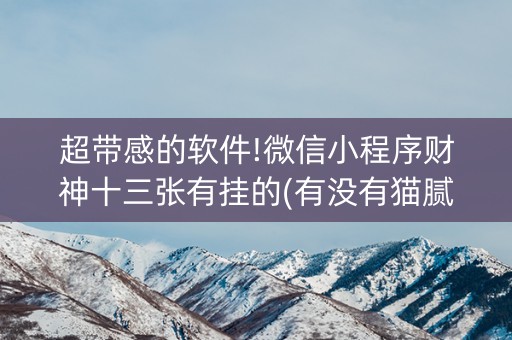 超带感的软件!微信小程序财神十三张有挂的(有没有猫腻)