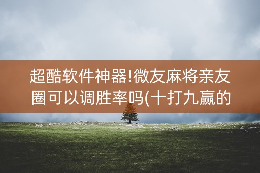 超酷软件神器!微友麻将亲友圈可以调胜率吗(十打九赢的打法)