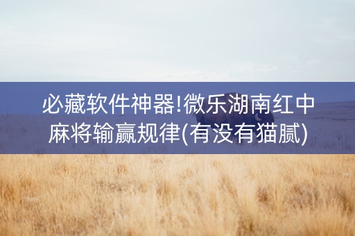 必藏软件神器!微乐湖南红中麻将输赢规律(有没有猫腻)