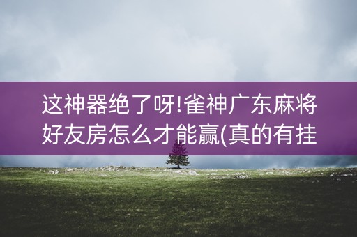 这神器绝了呀!雀神广东麻将好友房怎么才能赢(真的有挂)