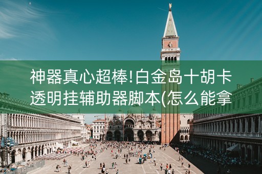 神器真心超棒!白金岛十胡卡透明挂辅助器脚本(怎么能拿好牌)
