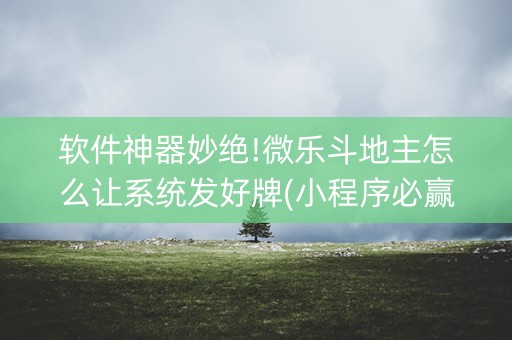 软件神器妙绝!微乐斗地主怎么让系统发好牌(小程序必赢神器)