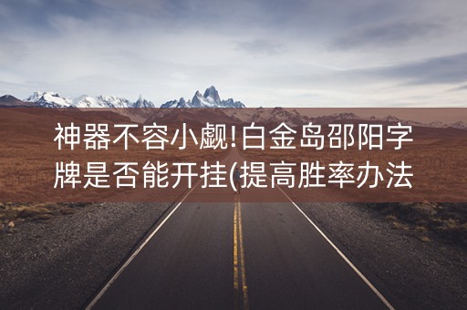 神器不容小觑!白金岛邵阳字牌是否能开挂(提高胜率办法)