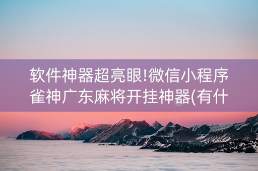 软件神器超亮眼!微信小程序雀神广东麻将开挂神器(有什么规律)