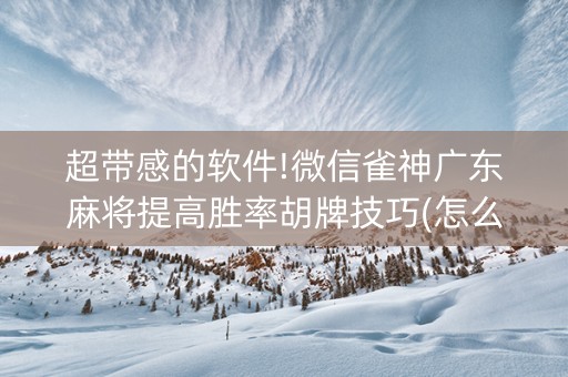 超带感的软件!微信雀神广东麻将提高胜率胡牌技巧(怎么总是输)