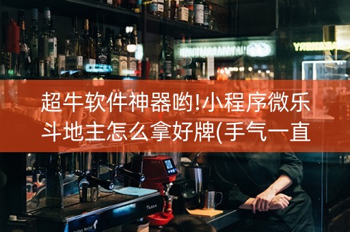 超牛软件神器哟!小程序微乐斗地主怎么拿好牌(手气一直很差)