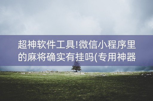 超神软件工具!微信小程序里的麻将确实有挂吗(专用神器胡牌技巧)