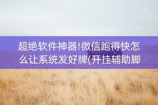 超绝软件神器!微信跑得快怎么让系统发好牌(开挂辅助脚本)