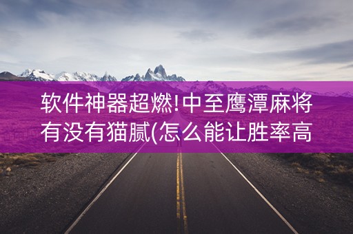 软件神器超燃!中至鹰潭麻将有没有猫腻(怎么能让胜率高)