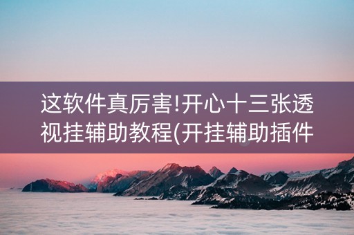 这软件真厉害!开心十三张透视挂辅助教程(开挂辅助插件)
