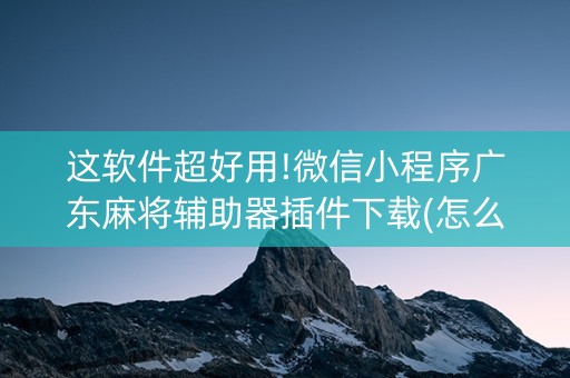 这软件超好用!微信小程序广东麻将辅助器插件下载(怎么来好牌)
