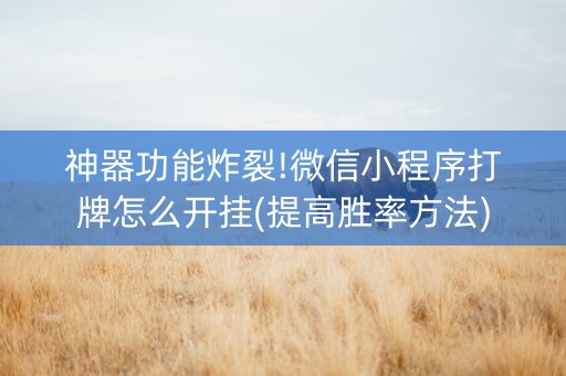 神器功能炸裂!微信小程序打牌怎么开挂(提高胜率方法)