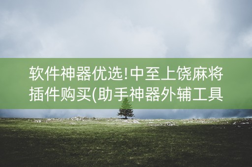 软件神器优选!中至上饶麻将插件购买(助手神器外辅工具)
