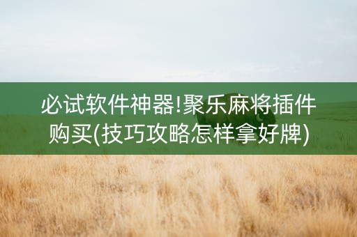 必试软件神器!聚乐麻将插件购买(技巧攻略怎样拿好牌)