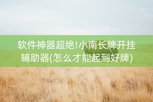 软件神器超绝!小南长牌开挂辅助器(怎么才能起到好牌)