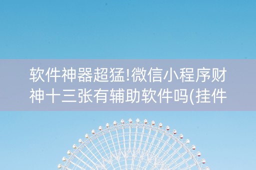 软件神器超猛!微信小程序财神十三张有辅助软件吗(挂件神器)