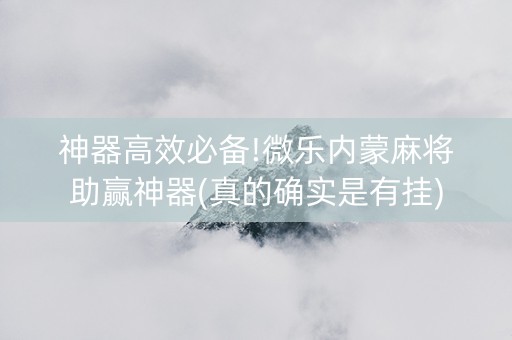 神器高效必备!微乐内蒙麻将助赢神器(真的确实是有挂)