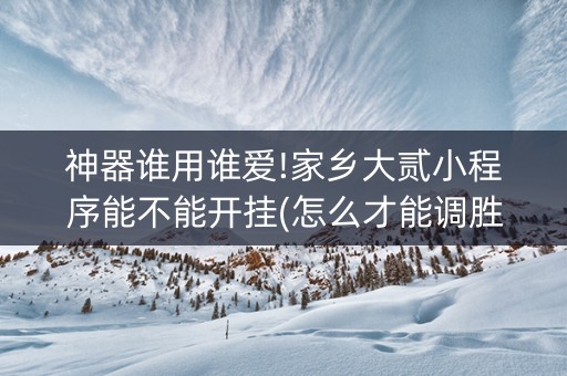 神器谁用谁爱!家乡大贰小程序能不能开挂(怎么才能调胜率)