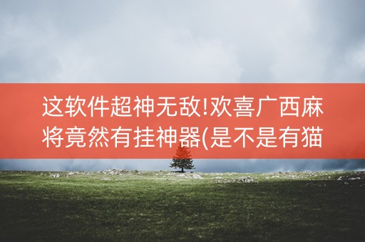 这软件超神无敌!欢喜广西麻将竟然有挂神器(是不是有猫腻)