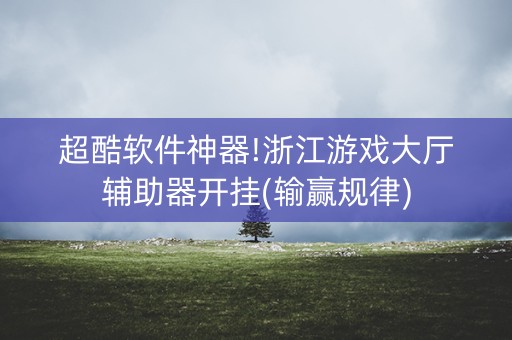 超酷软件神器!浙江游戏大厅辅助器开挂(输赢规律)