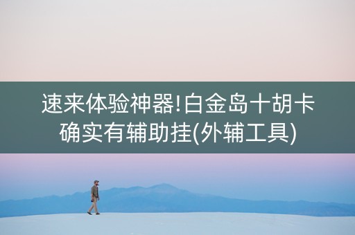 速来体验神器!白金岛十胡卡确实有辅助挂(外辅工具)