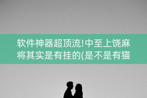 软件神器超顶流!中至上饶麻将其实是有挂的(是不是有猫腻)