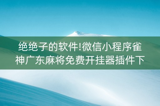 绝绝子的软件!微信小程序雀神广东麻将免费开挂器插件下载(怎么抓到好牌)