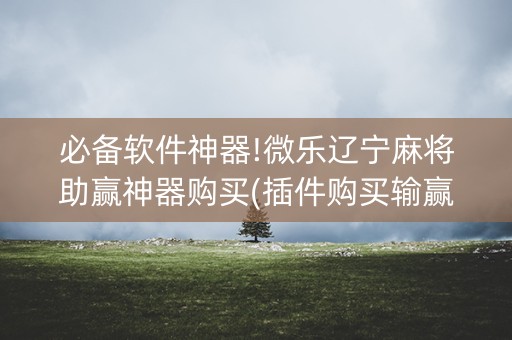 必备软件神器!微乐辽宁麻将助赢神器购买(插件购买输赢规律)