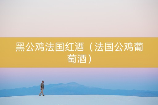 黑公鸡法国红酒(法国公鸡葡萄酒) 黑公鸡法国红酒(法国公鸡葡萄酒)